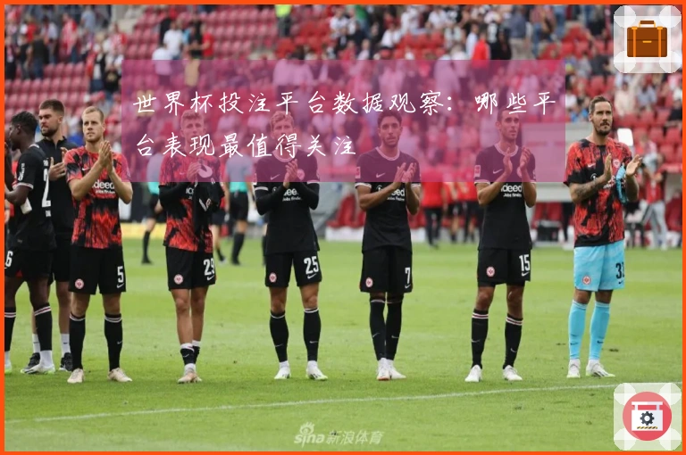 世界杯投注平台数据观察：哪些平台表现最值得关注