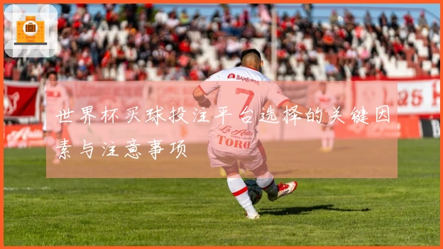 世界杯买球投注平台选择的关键因素与注意事项