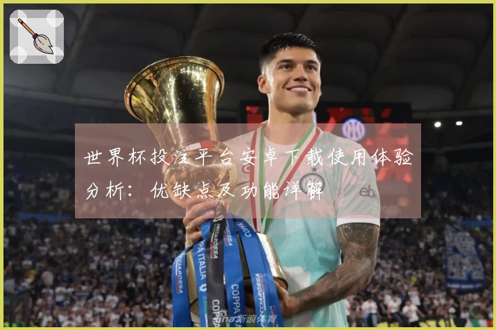 世界杯投注平台安卓下载使用体验分析:优缺点及功能详解