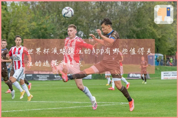 世界杯滚球投注的App有哪些值得关注的选择和特点