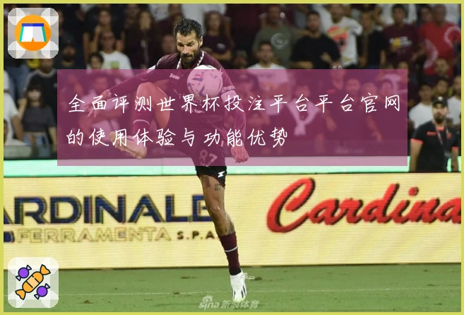 全面评测世界杯投注平台平台官网的使用体验与功能优势