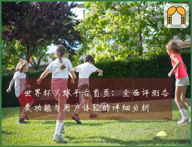 世界杯买球平台首页：全面评测各类功能与用户体验的详细分析
