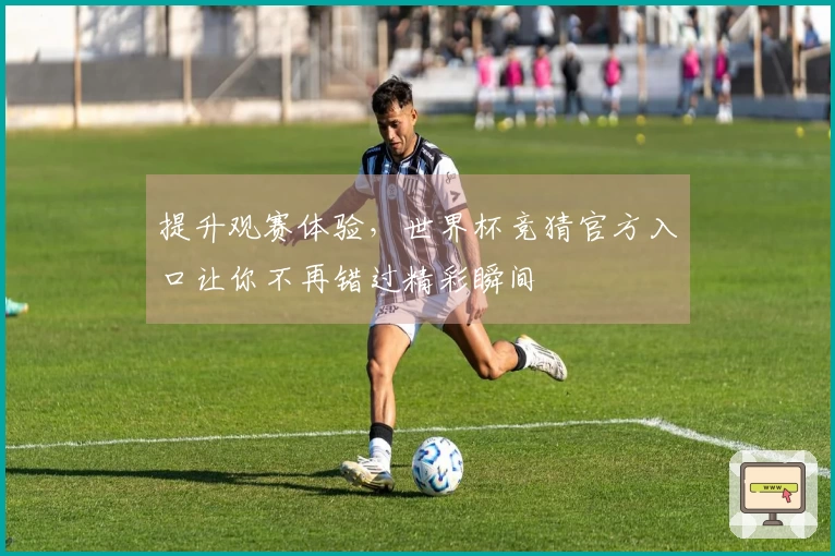 提升观赛体验，世界杯竞猜官方入口让你不再错过精彩瞬间
