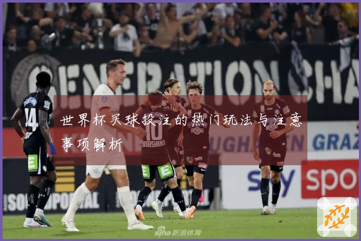 世界杯买球投注的热门玩法与注意事项解析