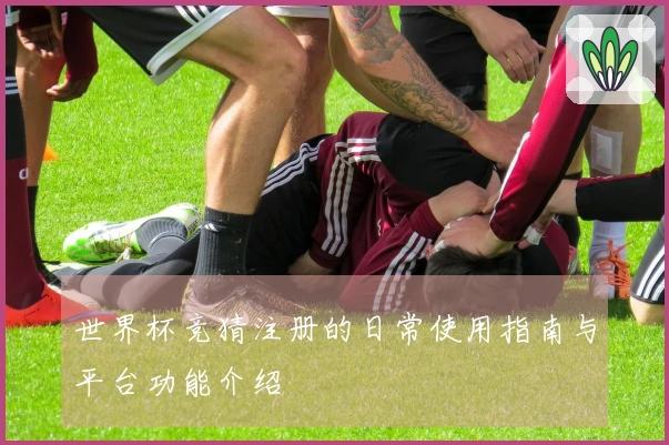 世界杯竞猜注册的日常使用指南与平台功能介绍