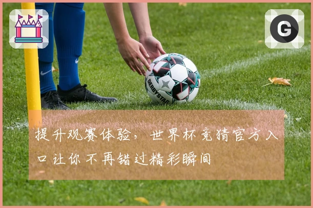 提升观赛体验，世界杯竞猜官方入口让你不再错过精彩瞬间