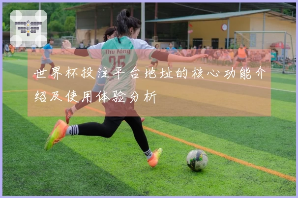 世界杯投注平台地址的核心功能介绍及使用体验分析