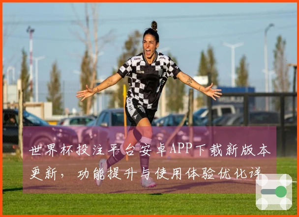 世界杯投注平台安卓APP下载新版本更新，功能提升与使用体验优化详解