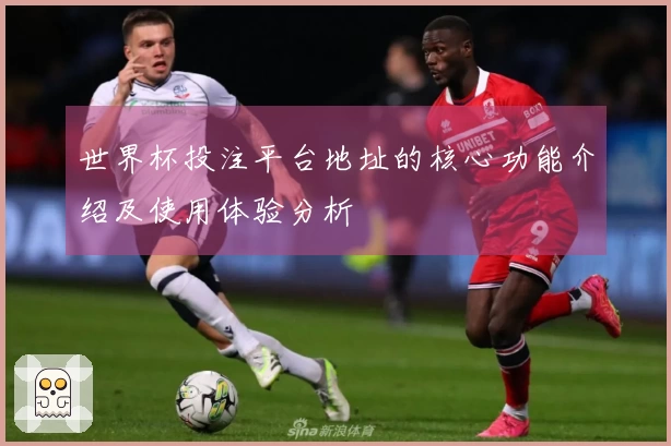 世界杯投注平台地址的核心功能介绍及使用体验分析